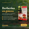 Berberina en Gotero